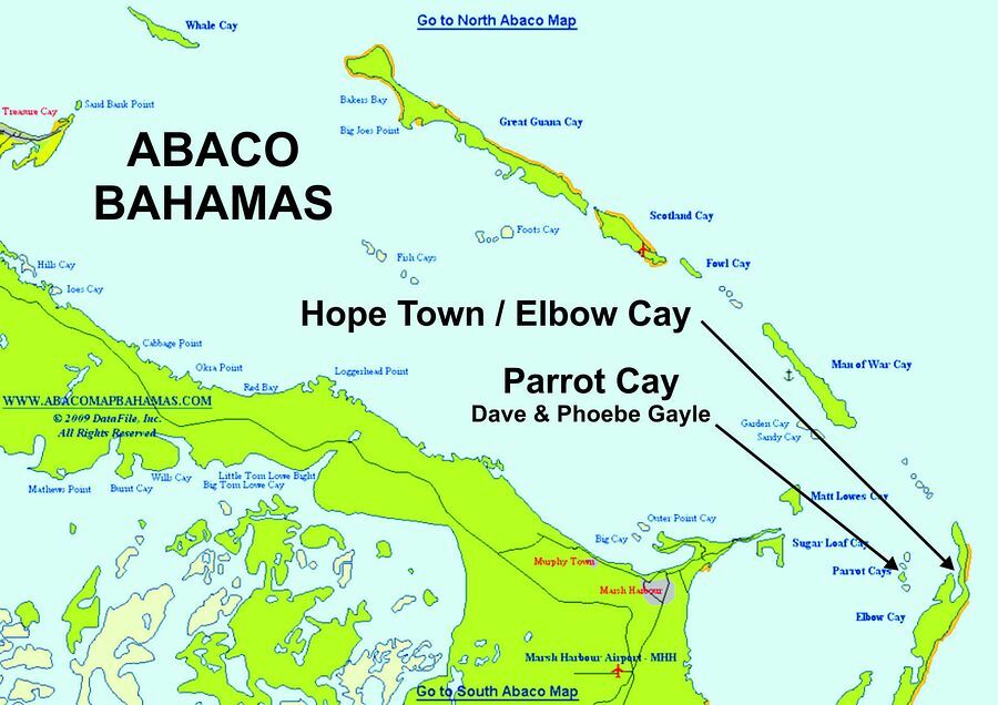 Click to See Next Image